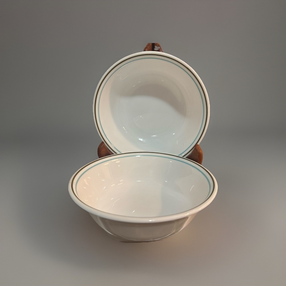 2 Corelle TREE BIRD 18-oz SOUP CEREAL BOWL 6 1/4" *Turquoise Blue & Brown Rim